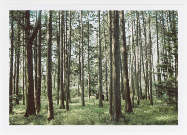 tumblr_m1g0p1scxV1rnn9n2o1_500 拷貝