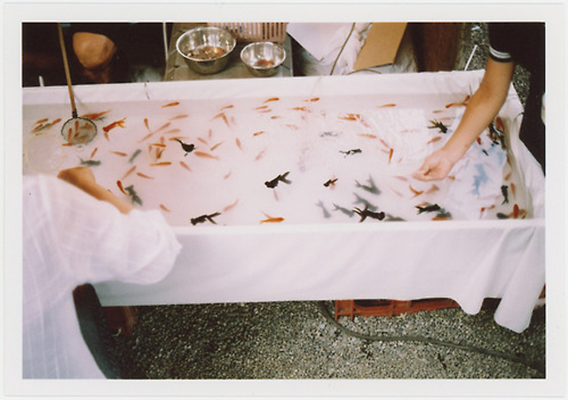 tumblr_mdj4ocucYY1rnn9n2o1_500 拷貝