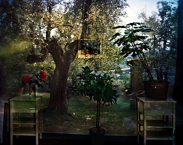 Camera-Obscura4