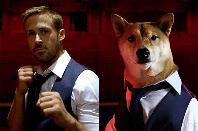 MenswearDog05