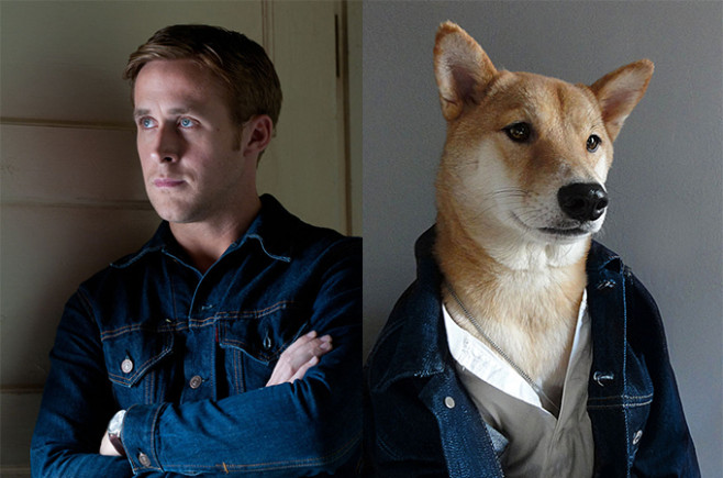 MenswearDog06