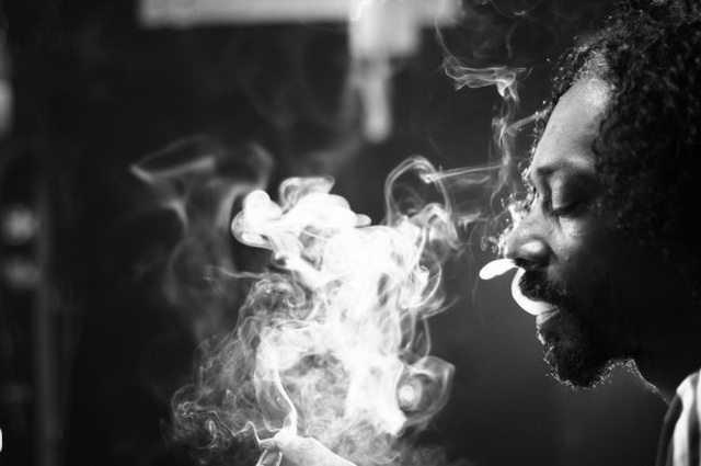 Snoop Lion2