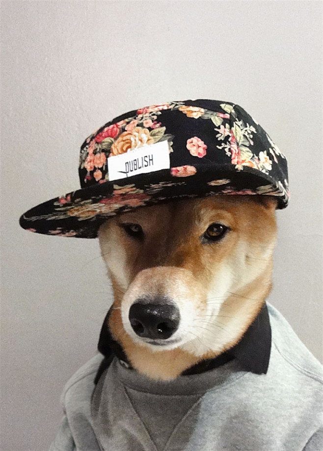 tumblr_mjmu0rmQel1s4yg05o2_1280