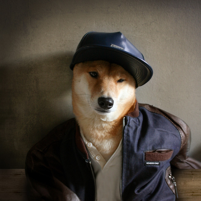 tumblr_mmlvl59RQq1s4yg05o1_1280