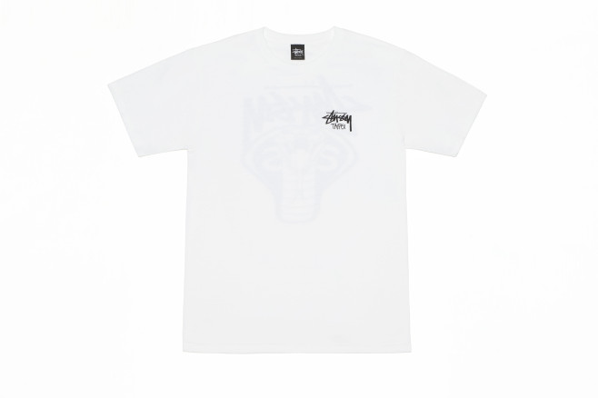 CobraSS_WhiteFront