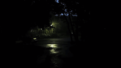 tumblr_mpskhovIUX1rehgzwo4_500