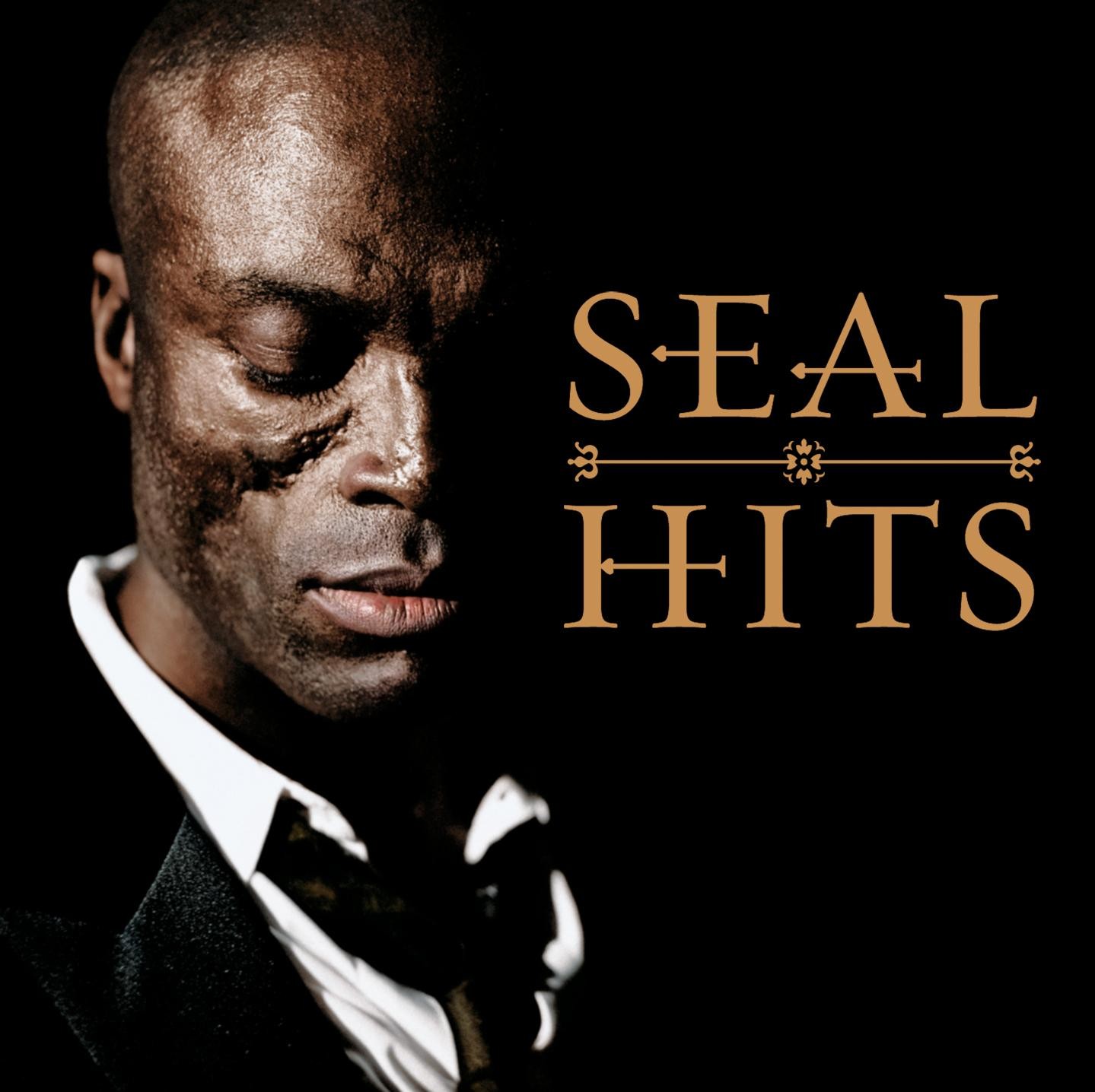 Seal Don t Cry FLiPER 