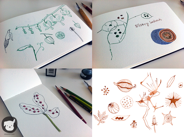 sketches_all