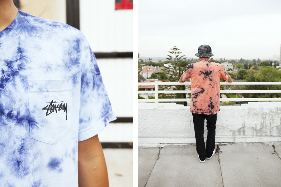 stussy lance mountain