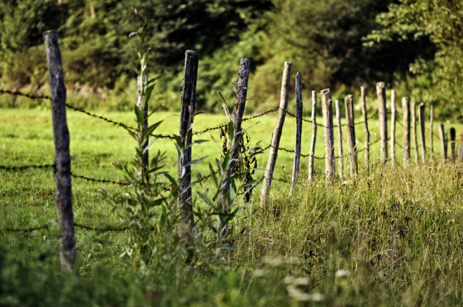 Old barbwire fence in the countryside