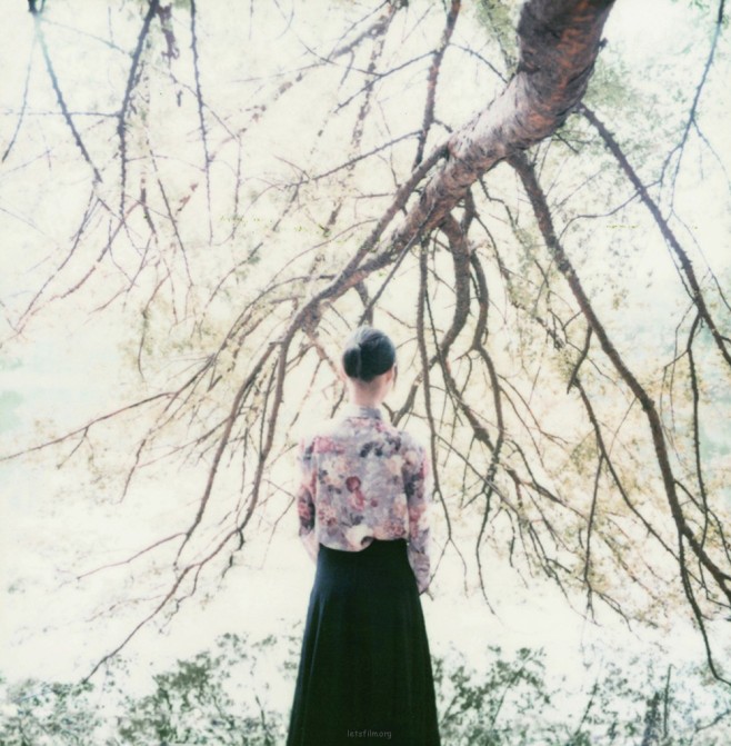 kockmag-Ricor-film02