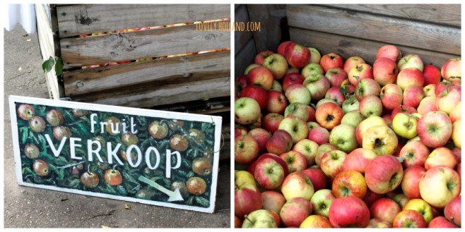 apple8