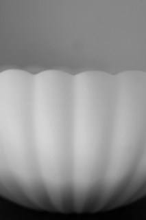 d0087761_175158