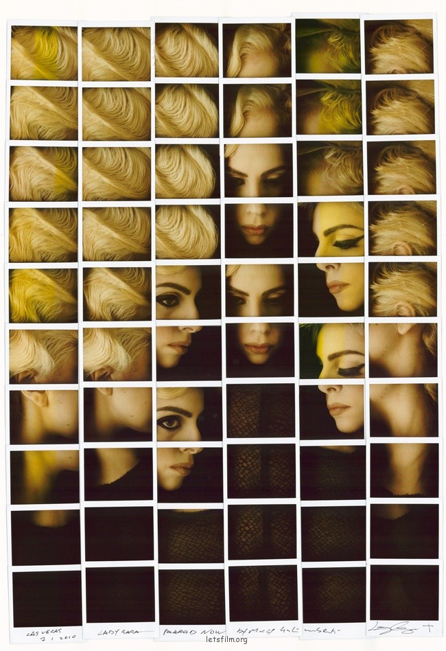 ltvs-galimberti-11-ladygaga