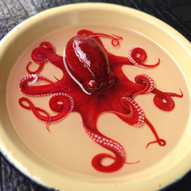 octo-1