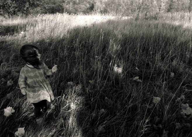 s12 P1160267 bw