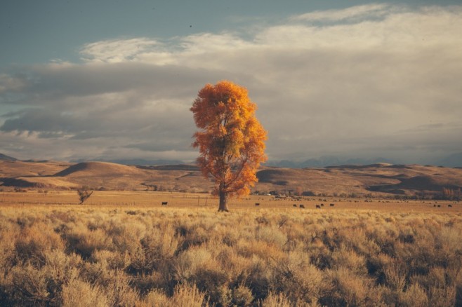 tumblr_mdeu1uGsZv1rkz363o1_1280-1024x682