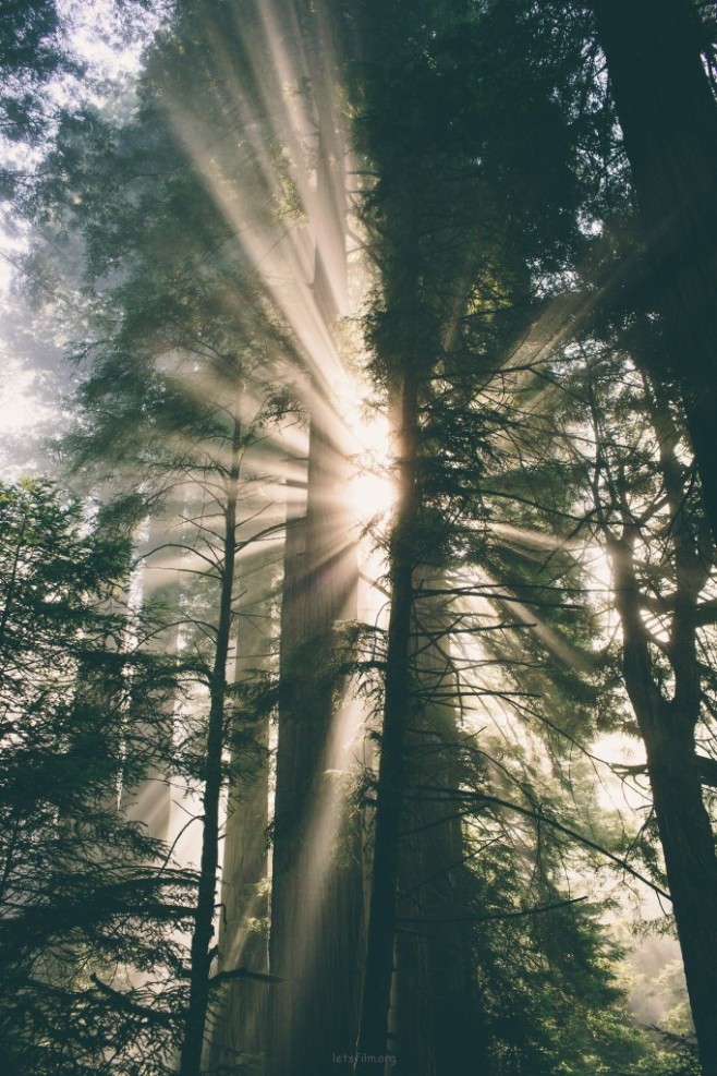 tumblr_mpoki7ehBS1rkz363o1_1280-682x1024