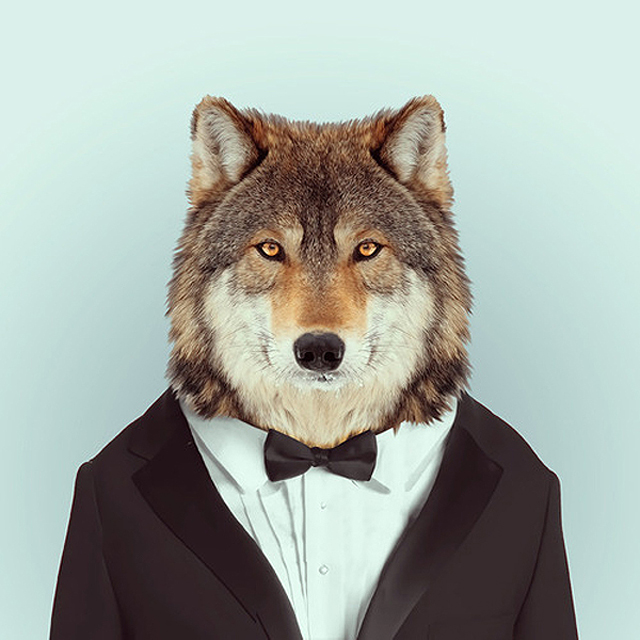 5-Fashion-Zoo-Animals26