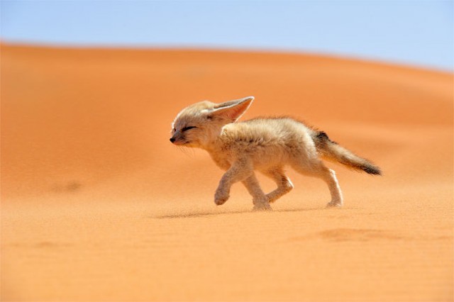 8-Best-of-Nation-Geographic-2013-Traveler-Contest13-640x426
