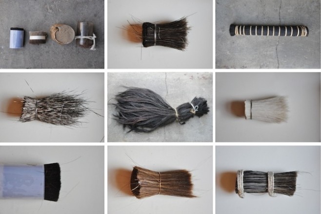 Bristle - Horn 06