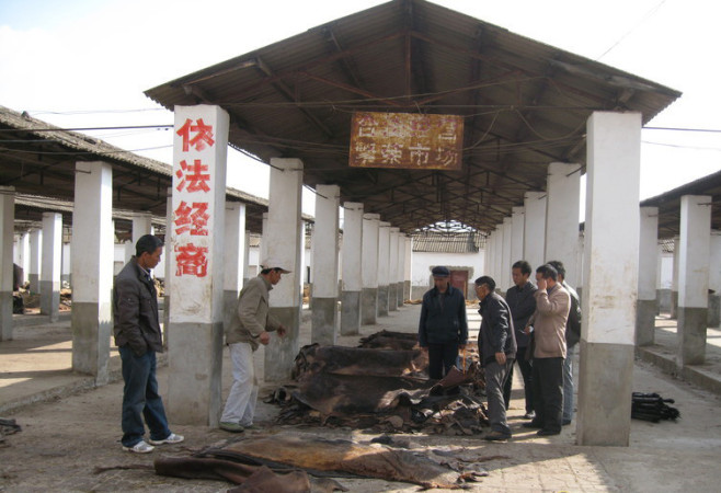 Img4578879_780
