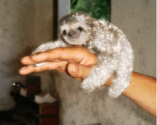 anigif_enhanced-buzz-12375-1387912359-6