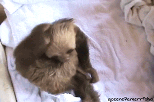 anigif_enhanced-buzz-1398-1387908386-0