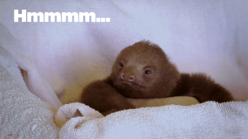 anigif_enhanced-buzz-13989-1387924577-20