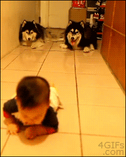 anigif_enhanced-buzz-14177-1386620900-6