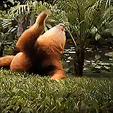 anigif_enhanced-buzz-1434-1387911880-3