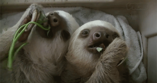 anigif_enhanced-buzz-1437-1387908329-9