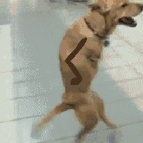anigif_enhanced-buzz-21824-1387385268-62