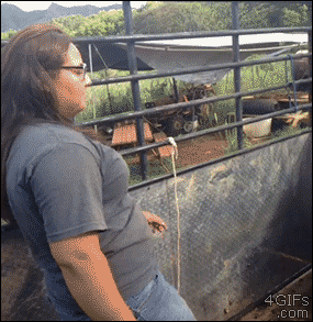 anigif_enhanced-buzz-25356-1387320027-10