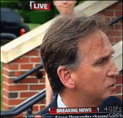 anigif_enhanced-buzz-26426-1387319130-12