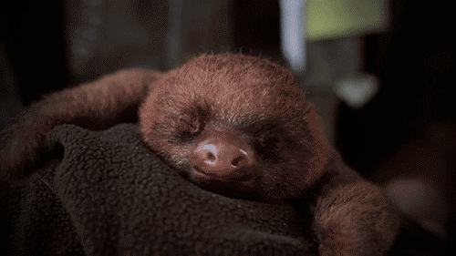 anigif_enhanced-buzz-27844-1387909284-5