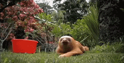 anigif_enhanced-buzz-32507-1387908546-0