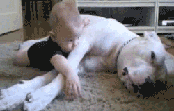 anigif_enhanced-buzz-5647-1386618372-42
