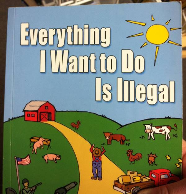 everything-is-illegal