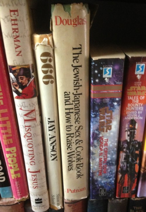 jewish-japanese-sex-and-cookbook