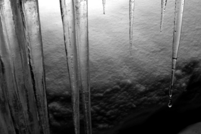 s DSC_0021