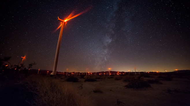 shainblum-3
