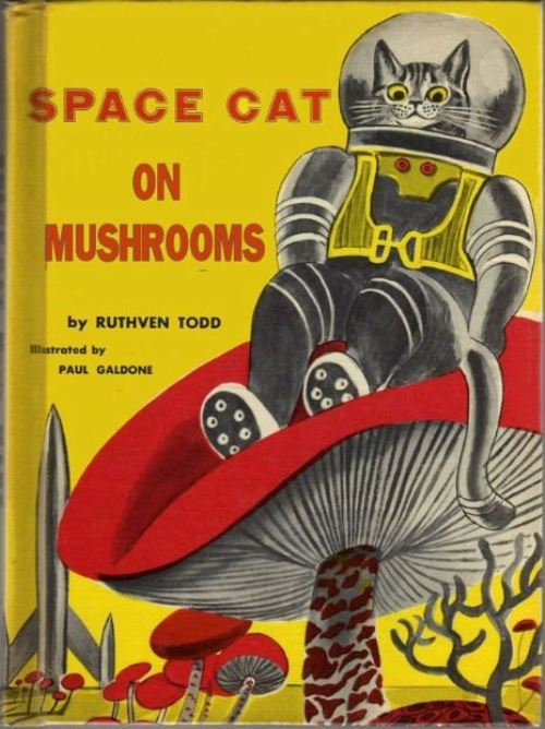 space-cat