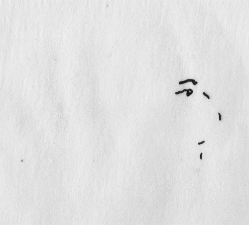 traceloops-3