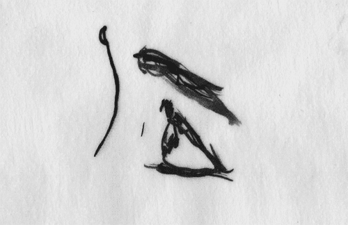 traceloops-5