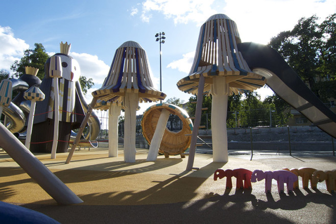 KSB-mushrooms-1