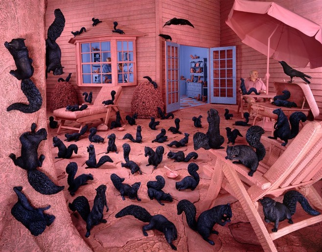 Sandy-Skoglund11