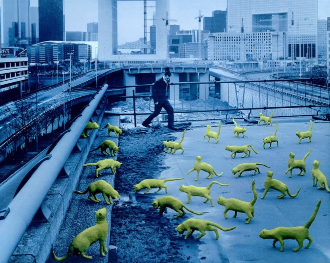 Sandy-Skoglund4