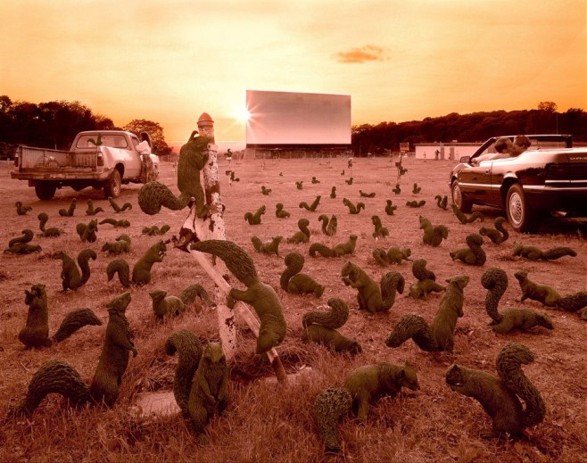 Sandy-Skoglund5