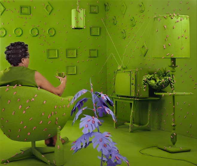 Sandy-Skoglund8